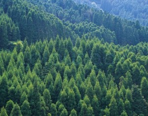 ?????????????????????????